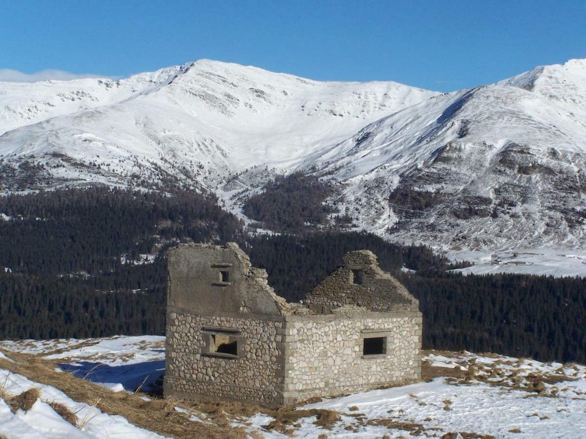 Balcone Sulle Dolomiti Apartment Comelico Superiore Bagian luar foto