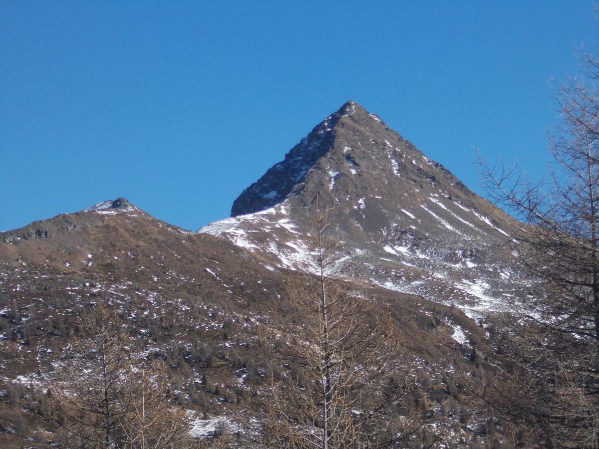 Balcone Sulle Dolomiti Apartment Comelico Superiore Bagian luar foto
