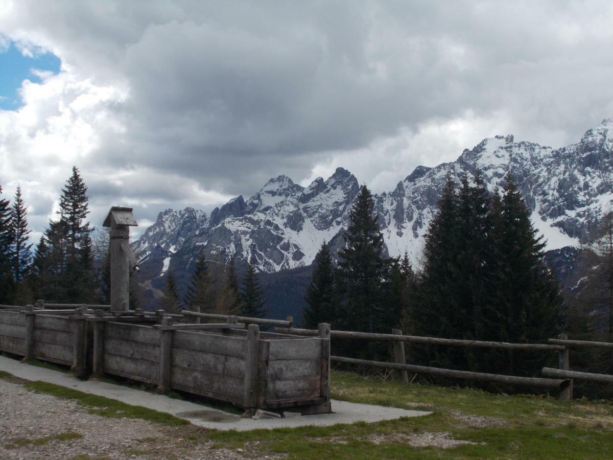 Balcone Sulle Dolomiti Apartment Comelico Superiore Bagian luar foto