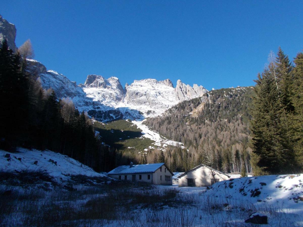 Balcone Sulle Dolomiti Apartment Comelico Superiore Bagian luar foto