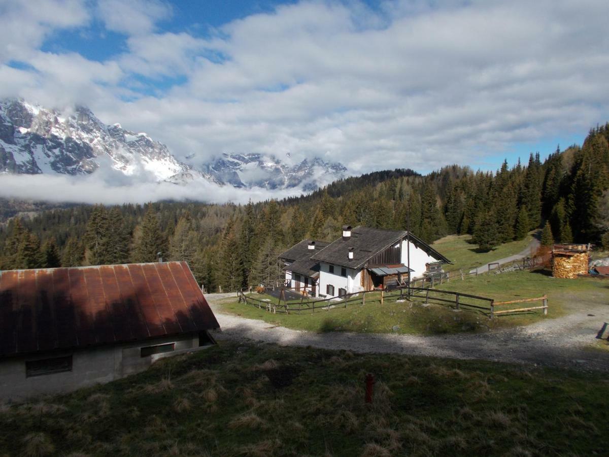 Balcone Sulle Dolomiti Apartment Comelico Superiore Bagian luar foto