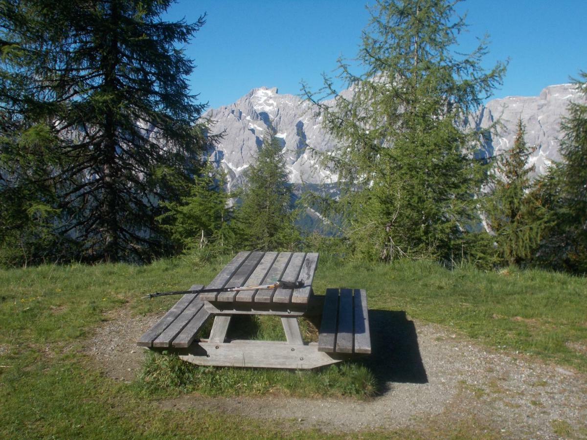 Balcone Sulle Dolomiti Apartment Comelico Superiore Bagian luar foto