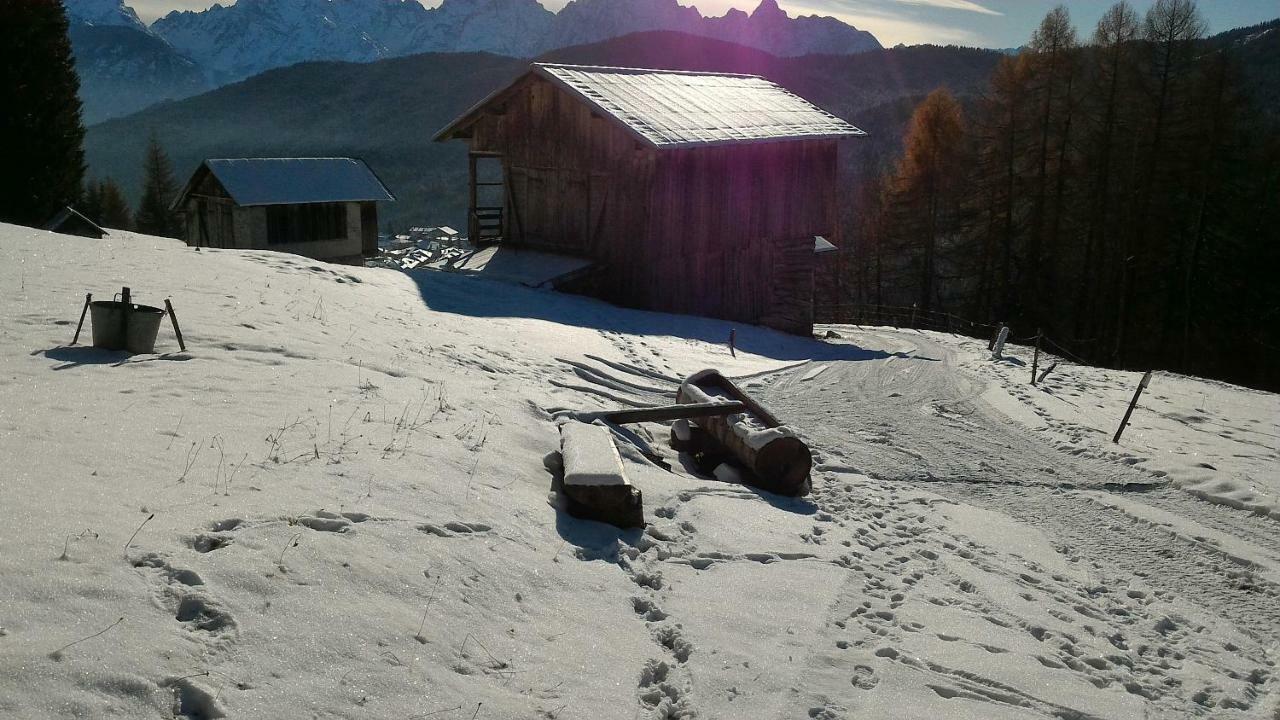 Balcone Sulle Dolomiti Apartment Comelico Superiore Bagian luar foto