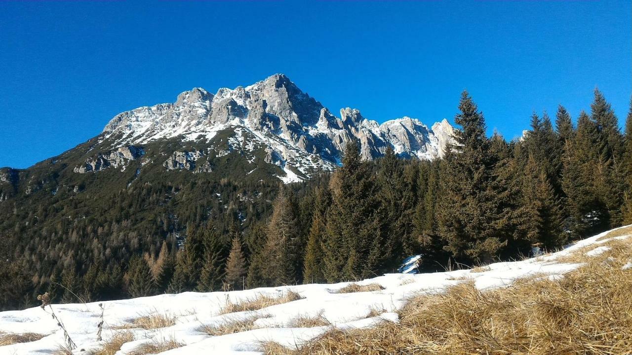 Balcone Sulle Dolomiti Apartment Comelico Superiore Bagian luar foto